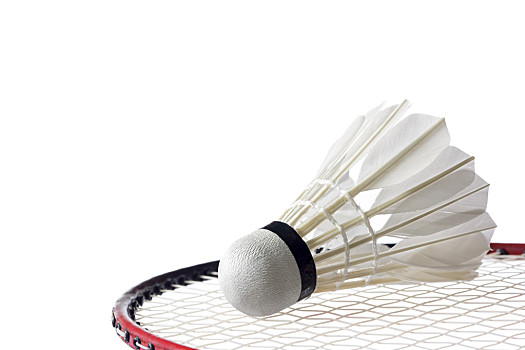 正面的形象 正面的形象