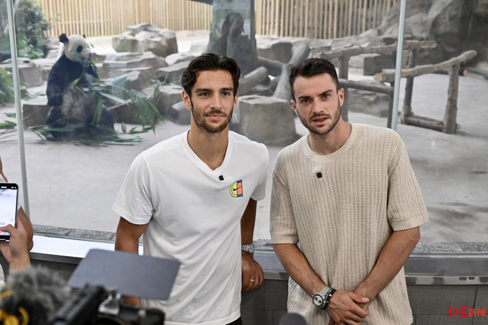 提升了球队 提升了球队